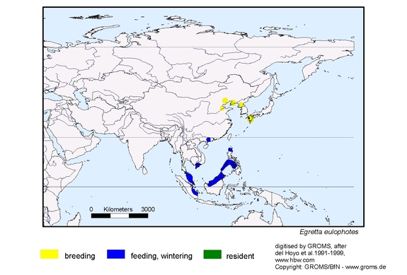 Verbreitungskarte von Egretta eulophotes