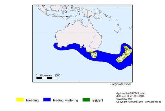 Verbreitungskarte von Eudyptula minor