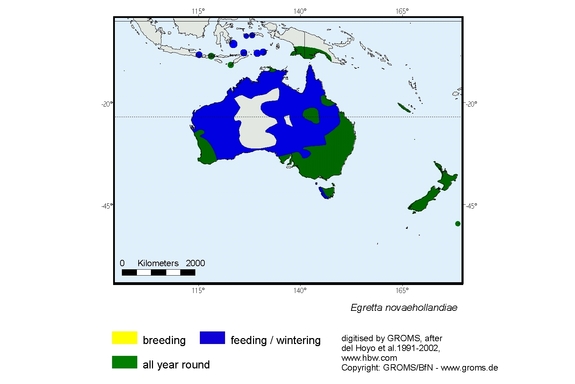 Verbreitungskarte von Egretta novaehollandiae