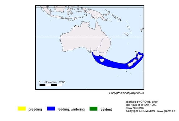 Verbreitungskarte von Eudyptes pachyrhynchus