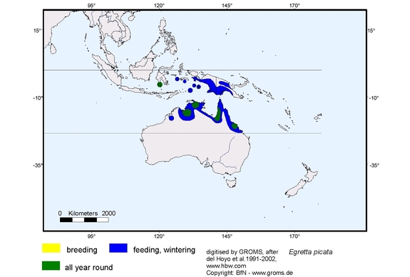 Verbreitungskarte von Egretta picata