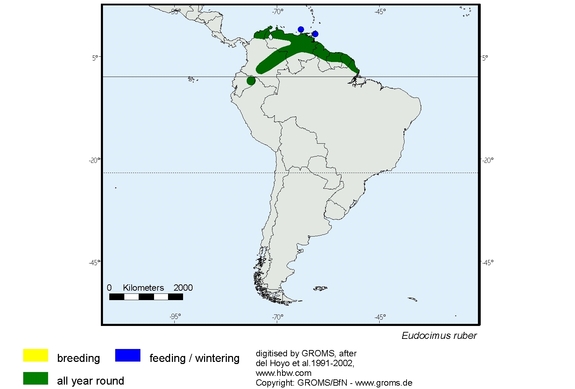 Verbreitungskarte von Eudocimus ruber