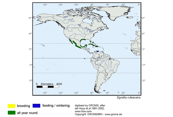 Verbreitungskarte von Egretta rufescens