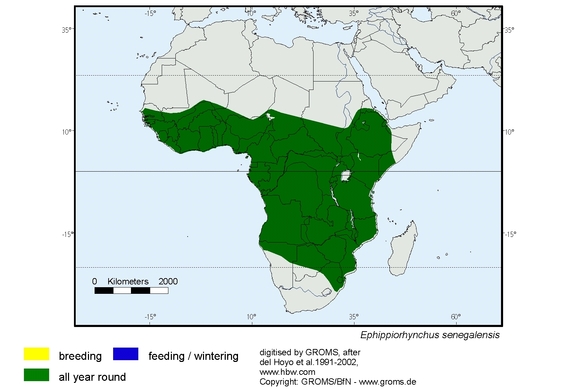 Verbreitungskarte von Ephippiorhynchus senegalensis