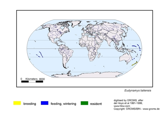 Verbreitungskarte von Eudynamys taitensis