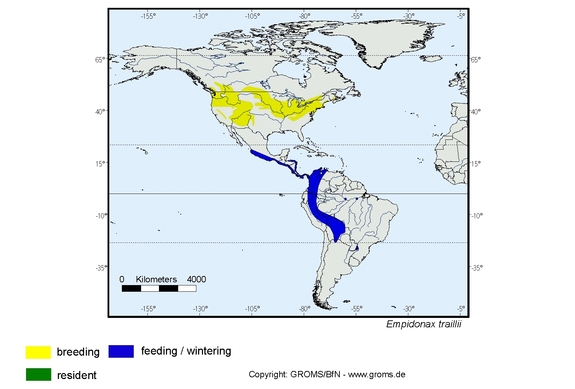 Verbreitungskarte von Empidonax traillii