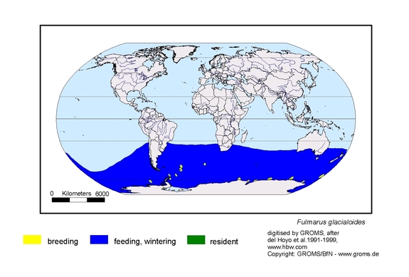 Verbreitungskarte von Fulmarus glacialoides