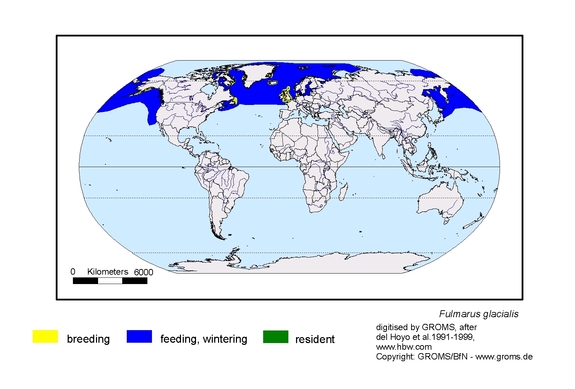 Verbreitungskarte von Fulmarus glacialis