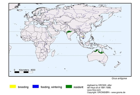 Verbreitungskarte von Grus antigone