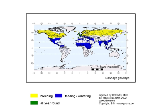 Verbreitungskarte von Gallinago gallinago