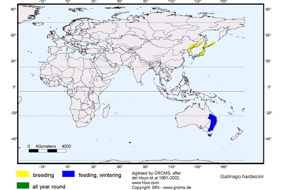 Verbreitungskarte von Gallinago hardwickii
