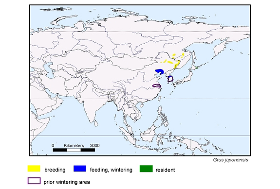 Verbreitungskarte von Grus japonensis