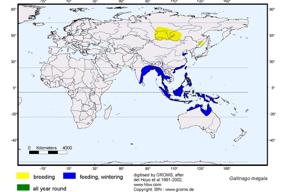 Verbreitungskarte von Gallinago megala