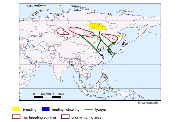 Verbreitungskarte von Grus monacha