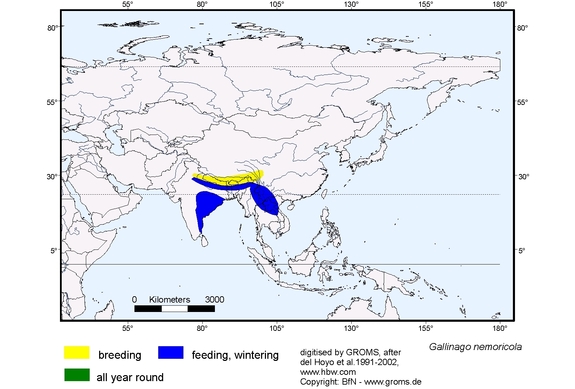 Verbreitungskarte von Gallinago nemoricola
