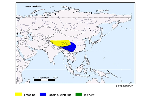 Verbreitungskarte von Grus nigricollis