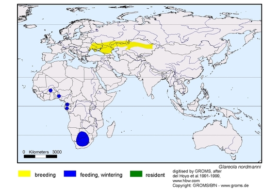 Verbreitungskarte von Glareola nordmanni