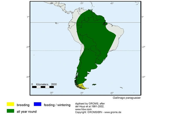 Verbreitungskarte von Gallinago paraguaiae