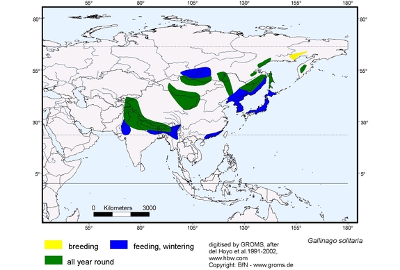 Verbreitungskarte von Gallinago solitaria