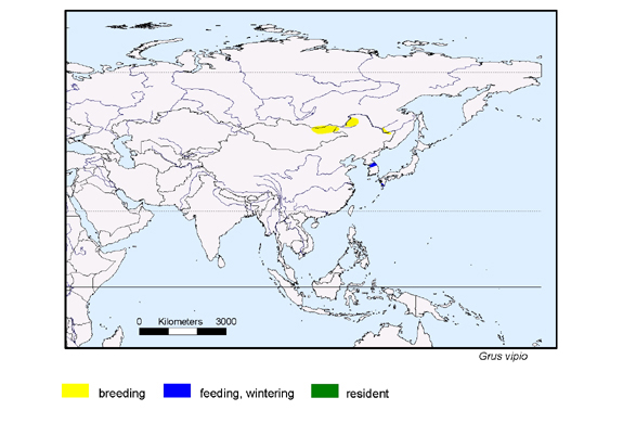 Verbreitungskarte von Grus vipio