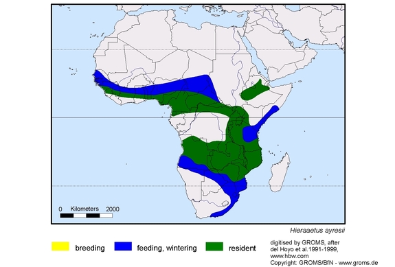 Verbreitungskarte von Hieraaetus ayresii