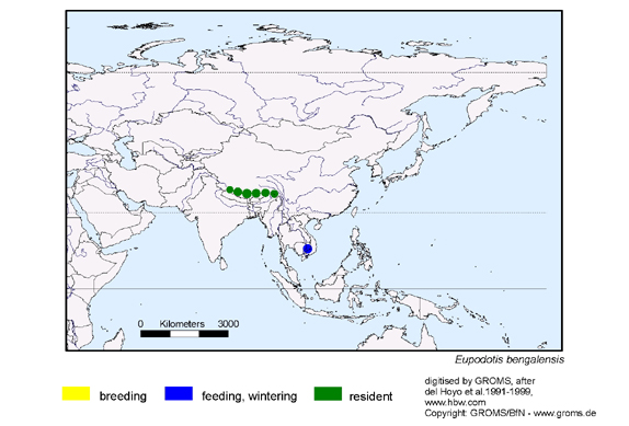 Verbreitungskarte von Eupodotis bengalensis