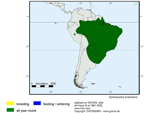 Verbreitungskarte von Hydropsalis brasiliana