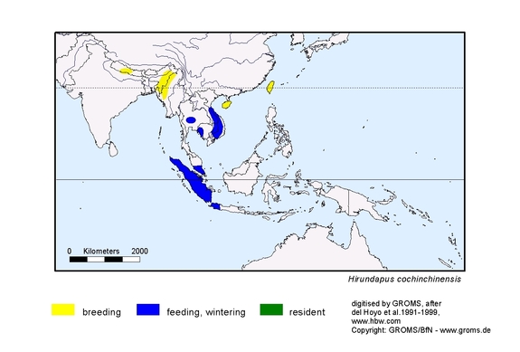Verbreitungskarte von Hirundapus cochinchinensis