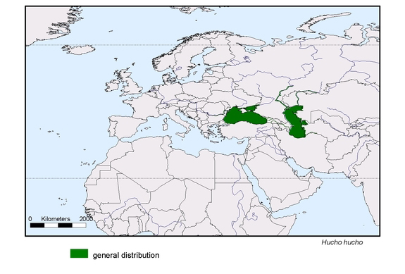 Verbreitungskarte von Hucho hucho