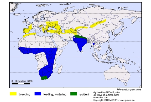 Verbreitungskarte von Hieraaetus pennatus