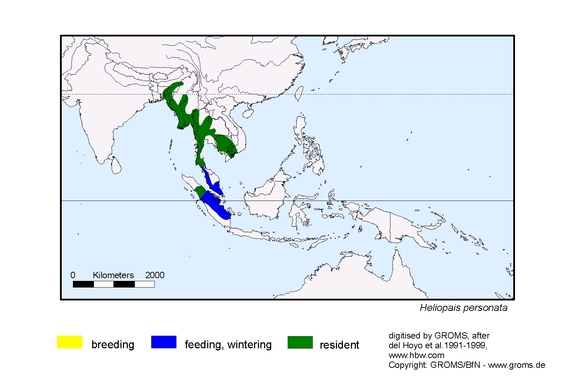 Verbreitungskarte von Heliopais personata