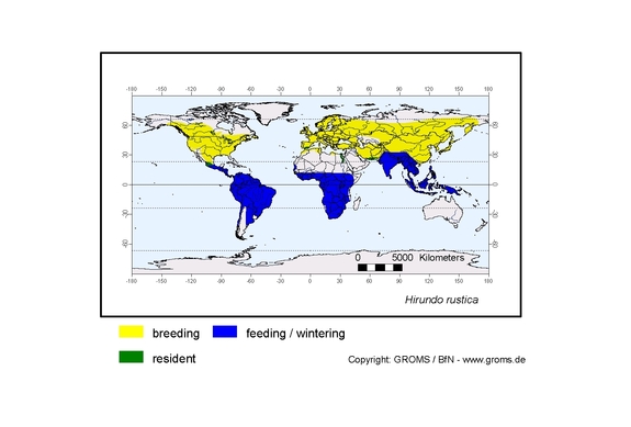 Verbreitungskarte von Hirundo rustica
