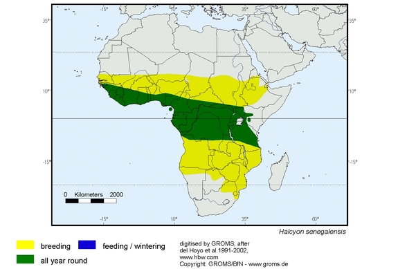 Verbreitungskarte von Halcyon senegalensis