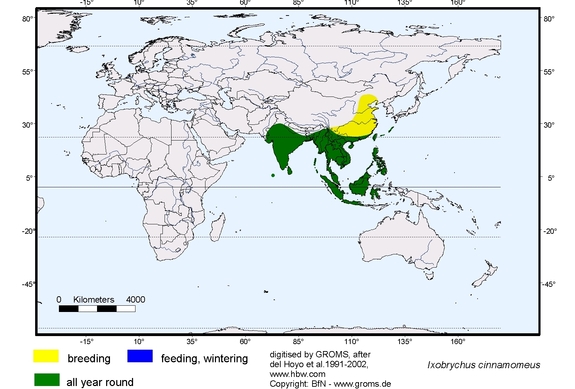 Verbreitungskarte von Ixobrychus cinnamomeus