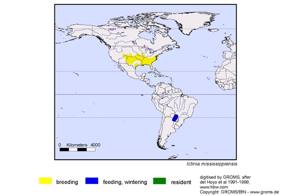 Verbreitungskarte von Ictinia mississippiensis