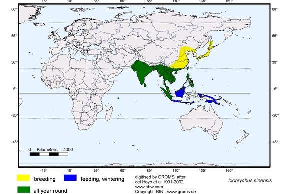 Verbreitungskarte von Ixobrychus sinensis