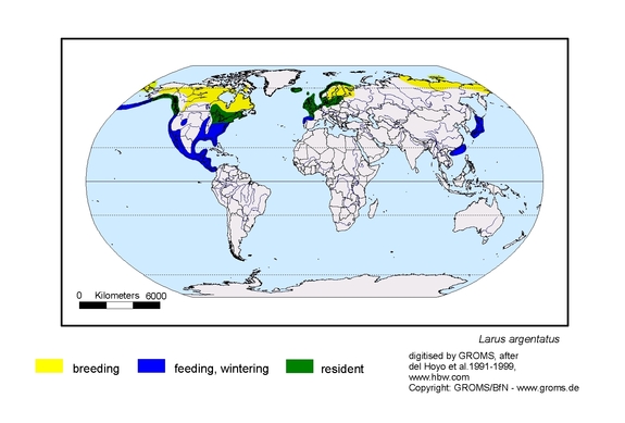 Verbreitungskarte von Larus argentatus