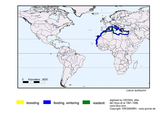 Verbreitungskarte von Larus audouinii