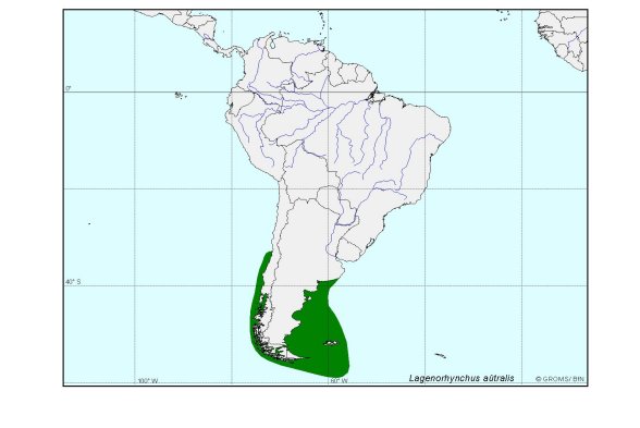 Verbreitungskarte von Lagenorhynchus australis