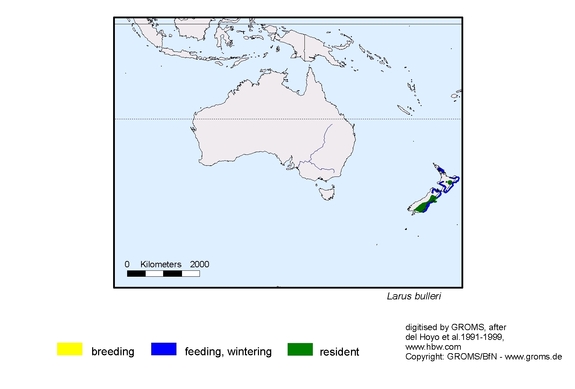 Verbreitungskarte von Larus bulleri