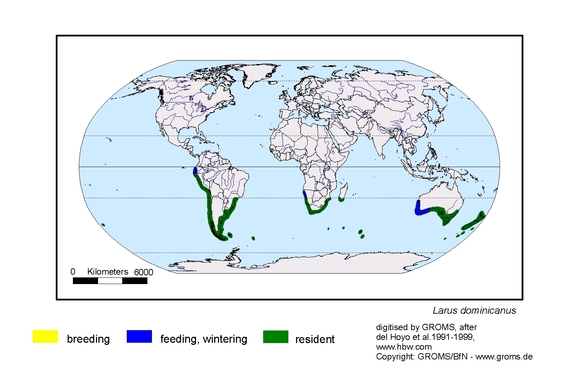 Verbreitungskarte von Larus dominicanus