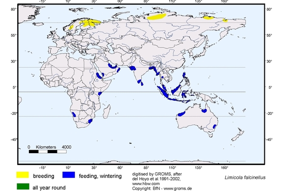 Verbreitungskarte von Limicola falcinellus