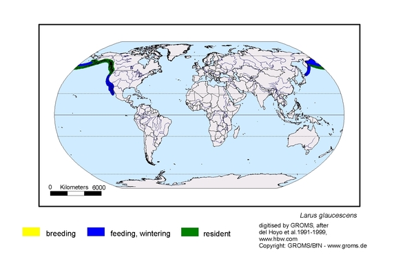 Verbreitungskarte von Larus glaucescens