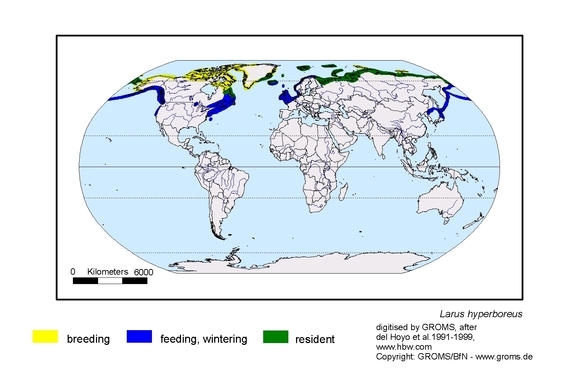 Verbreitungskarte von Larus hyperboreus