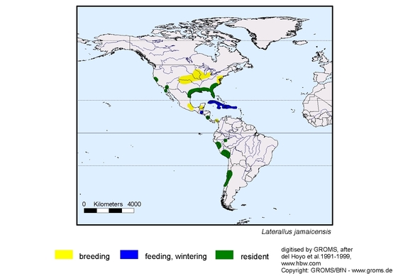 Verbreitungskarte von Laterallus jamaicensis