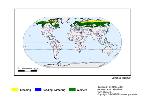 Verbreitungskarte von Lagopus lagopus
