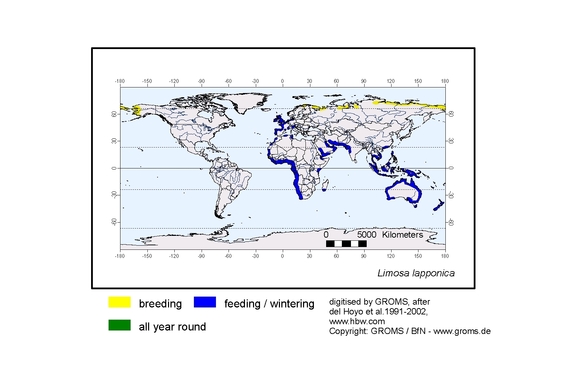 Verbreitungskarte von Limosa lapponica