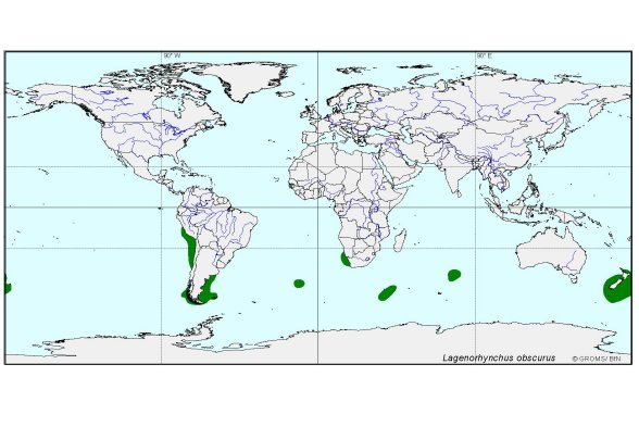 Verbreitungskarte von Lagenorhynchus obscurus