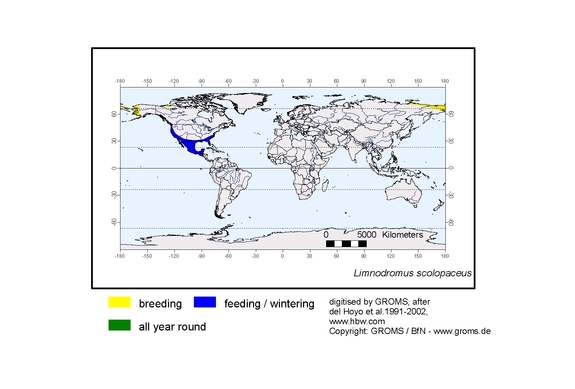 Verbreitungskarte von Limnodromus scolopaceus