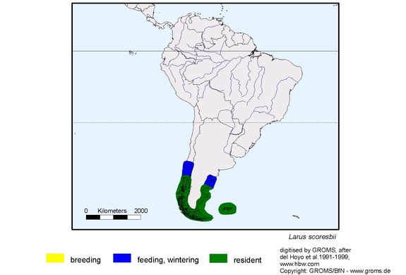Verbreitungskarte von Larus scoresbii